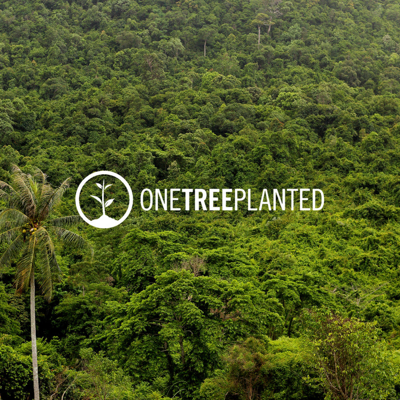 A tree for every order